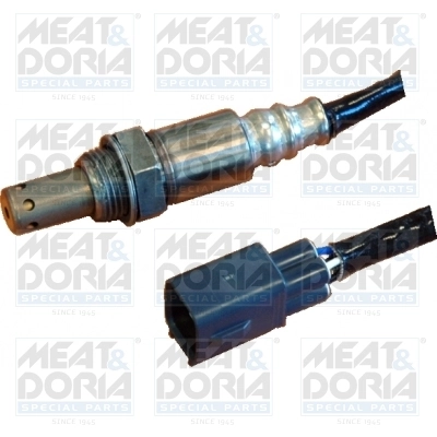 Oxygen Sensor